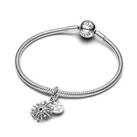 Charm Pandora Donna in Argento Zirconia 793512C01 - 793512C01